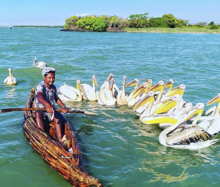 Around the Ethiopian Rift Valley Lakes: A Safari & Culture Tour